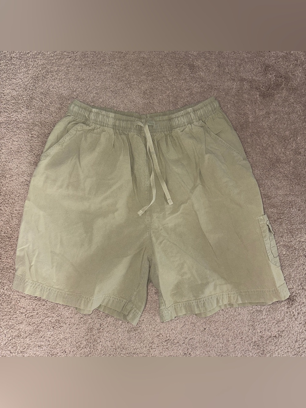 Dress Barn Women's Cargo Shorts in Light Green Size: L